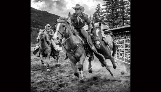 Falkland Rodeo, photo credit Chris Wright